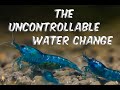 The Uncontrollable Waterchange