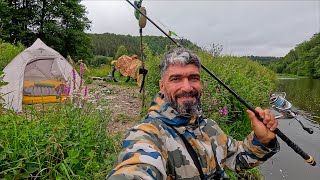 Camping, hunting and exploring the life of the forest at night