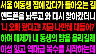 (실화사연) 서울 여동생 집에 갔다가 돌아오는 길 핸드폰을 놔두고 와 다시 찾아갔더니 경악할 광경이 펼쳐지고 있는데../ 사이다 사연,  감동사연, 톡톡사연