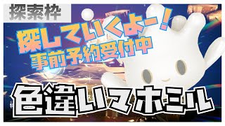 【探索枠】色違いマホミル（15限目）補講～これからマホミルにすること全部八つ当たりだから～  #ポケモンsv 　#pokemon