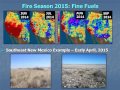 The Southwest Fire Season 2014 Overview and 2015 Outlook