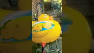 balon bebek#shortvideo #youtubeshorts