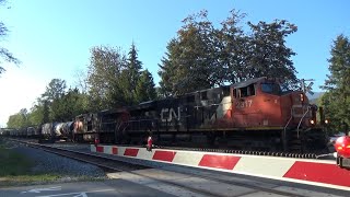 CN 2317 East at Barnet Marine Park September 1st 2022 #canadiannational #burnaby