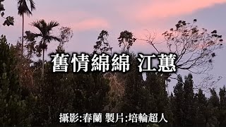 花蓮U_日常美景(舊情綿綿_江蕙)_20241209