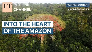 Into the Heart of the Amazon | FT Rethink