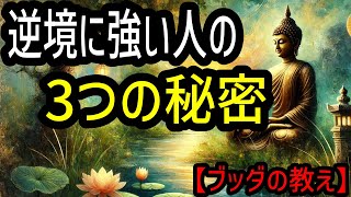 【ブッダの教え】辛い時こそ見てほしい！仏教が教える人生の荒波を乗り越える3つの秘密！2500年前から伝わる仏教の真髄。