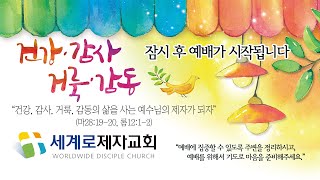 세계로제자교회 주일예배 | 신현우 목사