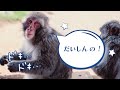 第3回てんのうじどうぶつえんのzooっとテレビ ｜ 公式hpでプレゼント企画実施中！ 天王寺動物園｜2022 9月4日放送