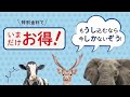 第3回てんのうじどうぶつえんのzooっとテレビ ｜ 公式hpでプレゼント企画実施中！ 天王寺動物園｜2022 9月4日放送