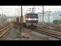 jr貨物　ef210 16　1050レ吉原通過