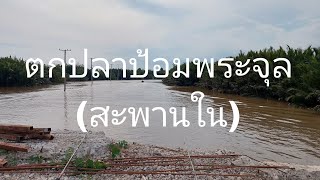 Fishing at Pom Phra Chul, Thailand (inner bridge) Day 24/10/2023ตกปลาป้อมพระจุลวันที่24/10/2566