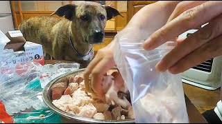 飼い主の料理（犬用）を見守る元猟犬　今回はもかちゃんの分も作りました。