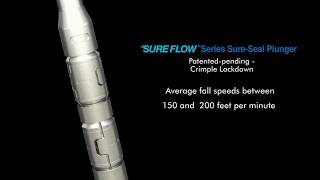 Plunger Lift - Conventional Plunger