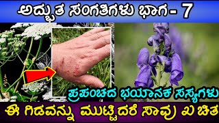 ನೀವು ಎಂದಿಗೂ ಕೇಳದ ವಿಚಿತ್ರವಾದ ಸಸ್ಯಗಳು | 4 Strangest plants you Never Heard of | ಅದ್ಭುತ ಸಂಗತಿಗಳು ಭಾಗ-7