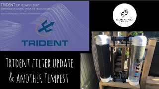 Nexus TRIDENT upflow update - is it working, EA Tempest filter no2 and bringing back a fashion!