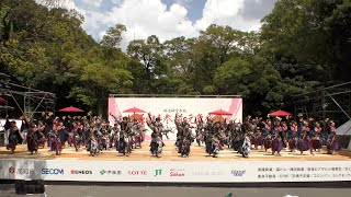 【4K】百華夢想 東京支部（原宿表参道元氣祭スーパーよさこい2023 神宮会館ステージ）