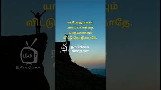 #053 நம்பிக்கை விதைகள் | WatchScreen | #watchscreen #motivation #nambikkai #நம்பிக்கை #தன்னம்பிக்கை