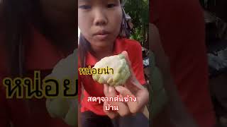 ผลไม้สด#กินโชว์ #ของกิน #สดมาก#ผลไม้ตามฤดูกาล #ผลไม้ #หน่อยน่า#podcast #shorts #short #baby