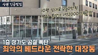 1층 상가 56곳 중 48곳이 공실…그 흔한 고깃집 하나 없는 '최악의 베드타운' 대장동