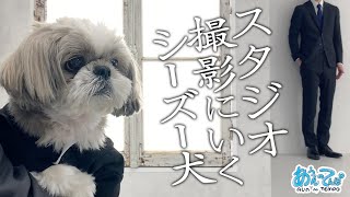 【お知らせあり】犬と撮影できるスタジオ行ったらやっぱりコントになった件