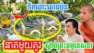 កាន់តែអស្ចារ្យ នាគមួយគូមកស្តាប់ព្រះធម្មទេនា មហាជាតក | រាជិនីលង្វែក