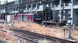 EF8195号機牽引カシオペア紀行仙台行黒磯駅停車(EH500牽引貨物列車並び)