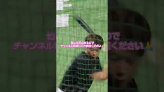 20240517 川村友斗⚾ティーバッティング@みずほPayPayﾄﾞｰﾑ福岡