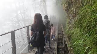 太平山國家森林遊樂區、見晴步道、鳩之澤溫泉