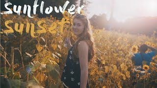 Sunflowers Cinematic Gh4