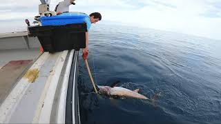 Epic Swordfish Longline off Outer Banks, NC