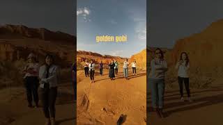 Golden gobi