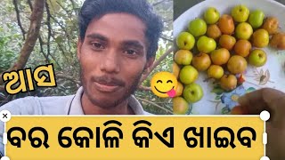 ବର କୋଳି କିଏ ଖାଇବ ଆସ😋😋@RakeshLifeStyle-20 #junglefruit 🍑🍓🍓