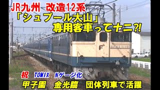 （12系改造）「シュプール大山」12両フル編成？　祝Nゲージ発売