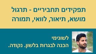 תפקידים תחביריים - תרגול מושא, תיאור, לוואי, תמורה