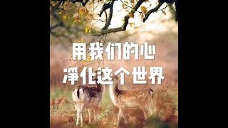 201803 用我们的心净化这个世界23772