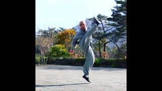 SIBPALKI BISEONMU(SIPPALKI), Martial arts of Korea