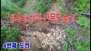 계곡에 가재가 살수있는 자연 개울 연못만들기 (4번째 도전)