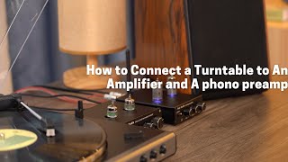How to Connect a Turntable to An Amplifier and A phono preamp