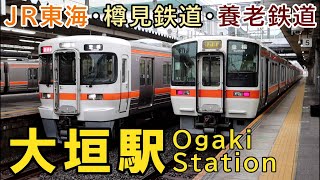 3社5路線が集まる岐阜西部のターミナル「大垣駅」列車発着シーン集