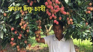 লিচু চাষে সফল হলেন মাসুদুল হাসান | বাংলাদেশের সেরা লিচু বাগান | মহেশপুর বিজয়নগর লিচু | Lychee Garden