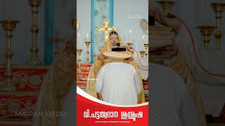 മമ ജനമതിനിടയിൽ നിന്നും🎶 | വി.പട്ടത്വ ദാന ശുശ്രൂഷ🕊️ | Vox-Fr.Sibi Mathew Varghese | marian media❤️