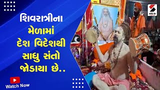 Mahashivratri Updates | શિવરાત્રીના મેળામાં દેશ વિદેશથી સાધુ સંતો જોડાયા છે | MahaShivratri