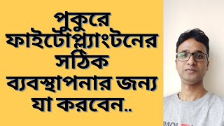 পুকুরে ফাইটোপ্ল্যাংটনের সঠিক ব্যবস্থাপনার জন্য যা করবেন।