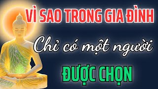 Người được chọn: Trong mỗi gia đình chuyện gì sẽ thực sự xảy ra khi một người thức tỉnh