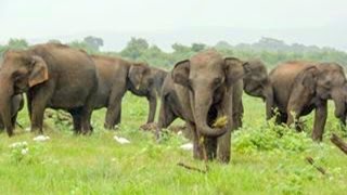 Sri Lanka in 60 Seconds