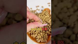 猫奴十三 比烘焙粮还便宜的主食冻干？耗时半月粉丝的真实测评来啦！#猫粮 #粉丝测评 #猫友爱520猫粮 #新手养猫  猫奴十三 #1