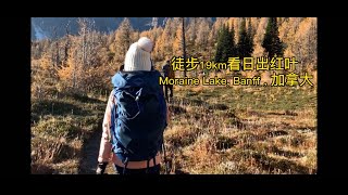 Larch Valley, Moraine Lake, AB, CA加拿大班夫国家公园梦莲湖赏红叶/日出/阿岗昆替代/徒步19km