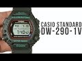 Casio Standard DW-290-1V : Unboxing