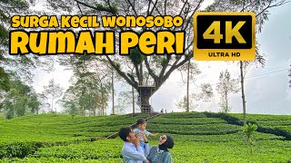 WISATA VIRAL RUMAH PERI, Surga kecil di Wonosobo