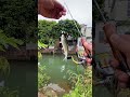 钓鱼人 fishing 钓鱼的乐趣只有钓鱼人懂 foryou bassfishing fish 釣魚 钓鱼佬 钓鱼人就是这么疯狂 钓鱼分享 fyp 钓鱼人的快乐 钓鱼生活